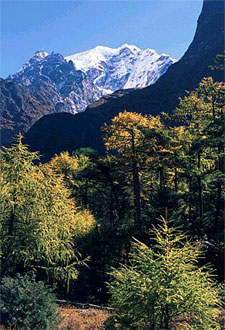Dhorpatan Dolpo Trek