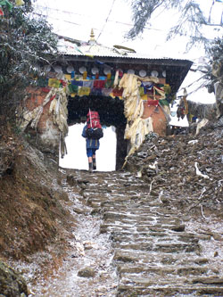 Everest Classic Trek