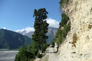 Kaligandaki Ghorepani Poon Hill Trek