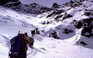 Langtang Ganjala Helambu Trek