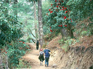 Langtang Helambu Trek
