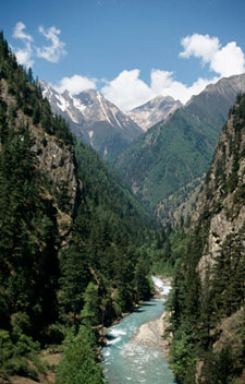 Langtang Trekking