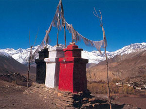 Mustang Trekking 