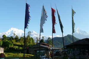 Panchase Trek