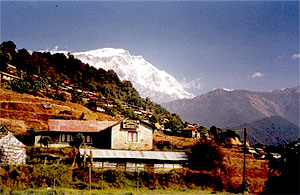 Siklis Trek