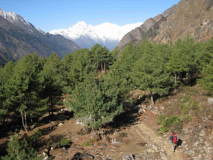 Tsum valley Trekking