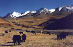 Upper Dolpo Trekking